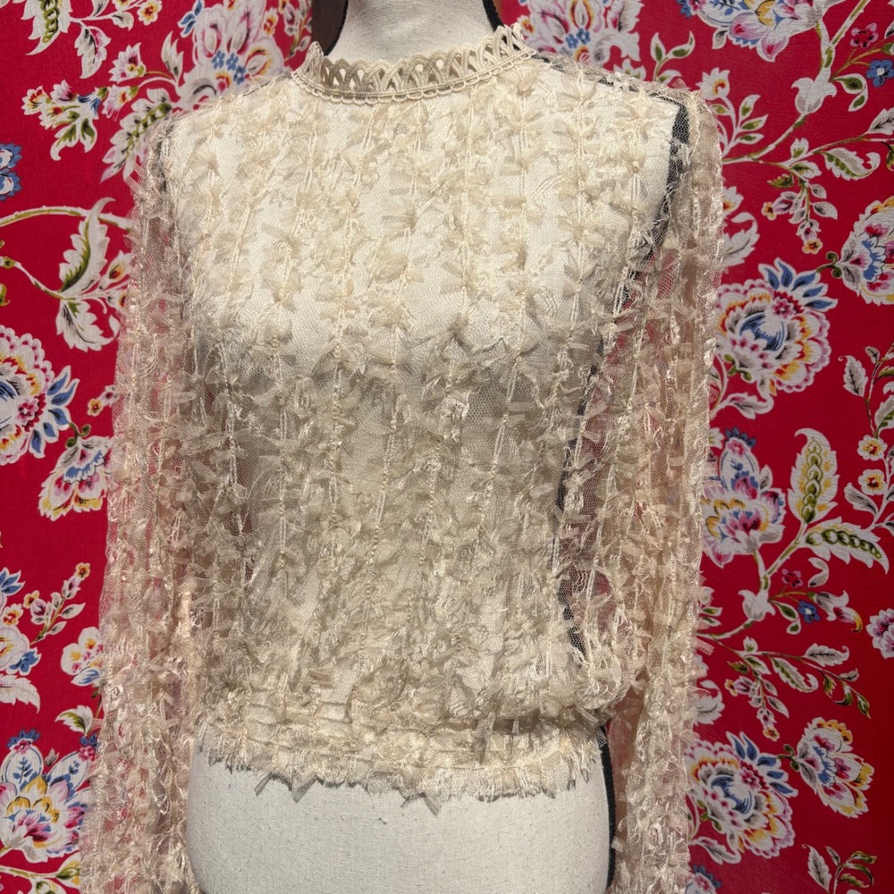 Cream Textured‎ Lace Sheer Long Sleeve Fairycore Whimsigoth Blouse Size L